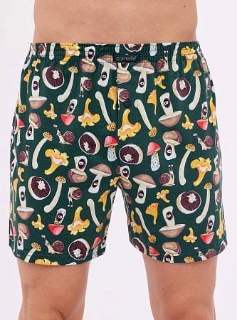 Боксеры мужские Classic 001/165