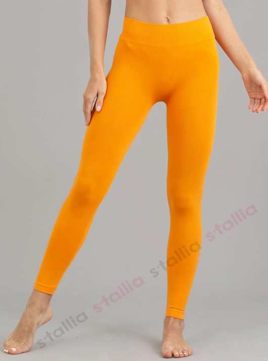 Леггинсы Leggings 01 