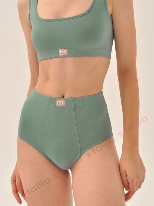 Трусики DS 103 хлопковые высокие