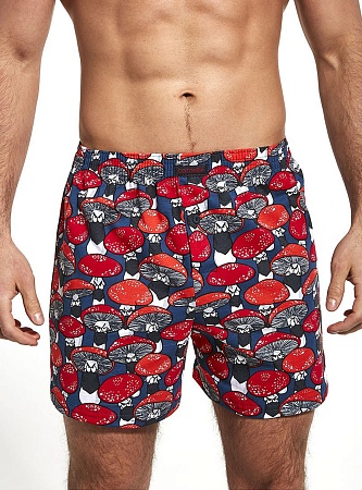 Боксеры Classic 001/100