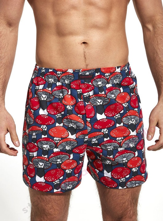 Боксеры Classic 001/100